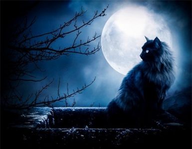 Ma Mèo – Quỷ Thi, một truyện ma đầy “nhân tính”