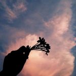 Chương 10: Tên anh là Lưu Vũ?