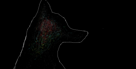 Wolf and universe – Sói và vũ trụ