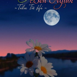 Trung Thu Bên Người