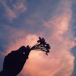 Tự sự của kẻ thay thế