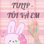 Tulip – Tôi Và Em